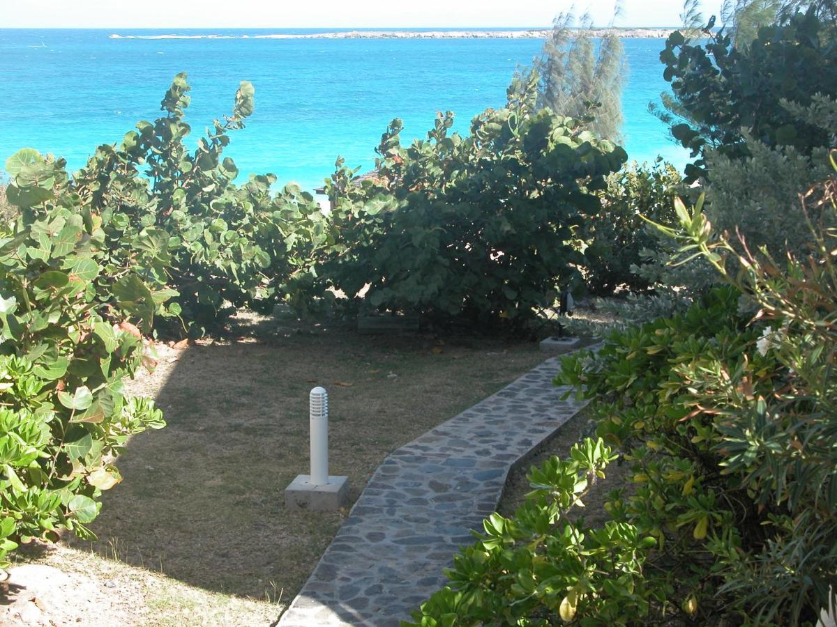 Top Floor Unit 520 Ft2 - 48 M2 With Stunning Dominant View On Ocean, St Barth, Orient Bay Куль-де-Сак Экстерьер фото